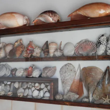 Attico Mare Bed & Breakfast 4*