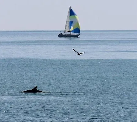 ベッド・アンド・ブレックファスト Attico Mare サン・ベネデット・デル・トロント