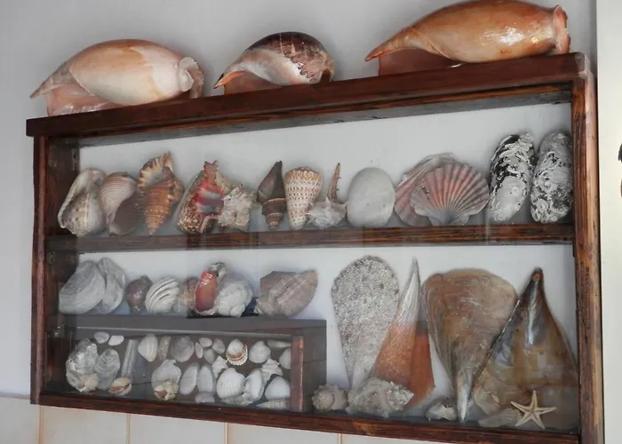 Attico Mare Panzió 3*